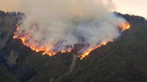 "ღმერთი არ გაგიწყრეთ, "ბიჩოკი" არავინ გაიქნიოთ უშნოდ, თორემ ყირიმის აეროდრომი მოგონება იქნება...." - რას წერს სამხედრო მფრინავი ქალი?