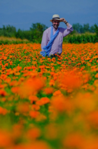 „200 ლარი ღირს კილოგრამი..." - რას გვირჩევს ზურა შევარდნაძე