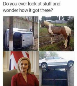 "როგორ მოხვდა ტრასი პრემიერ-მინისტრის სავარძელში?... სასაცილოა?... თუ სატირალია?" - ხათუნა ხოფერია