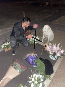 მამუკა ონაშვილის გარდაცვალებიდან 40 დღე გავიდა, ძაღლი მის საფლავს არ ტოვებს