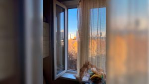 სასტიკი მკვლელობა და ძმისთვის გაგზავნილი უცნაური შეტყობინება - მამაკაცმა ჯერ დედა მოკლა, ცხედარი ბინაში ჩაკეტა, შემდეგ კი თავი მოიკლა