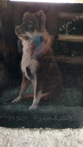 მინდა, ახლოს ვნახო და ვუთხრა, რომ ის "ადამიანია" - კახეთში ძაღლების საფლავებს ქვები დაადგეს