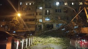 PHOTO: წაქცეული ხეები და დამტვრეული მანქანები - ქარმა და უამინდობამ მოსახლეობა დააზარალა