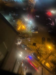 PHOTO: წაქცეული ხეები და დამტვრეული მანქანები - ქარმა და უამინდობამ მოსახლეობა დააზარალა