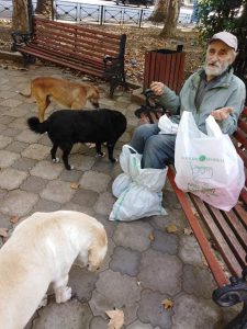 "ეს პავლე ბაბუა თავის საყვარელ მეგობრებთან ერთად" - ამბავი მოხუცზე, რომელიც თავის ისედაც მცირედ ლუკმას ძაღლებს უნაწილებს