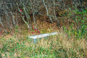 (ფოტო) გომბორის ტყეში მგზავრმა კუბო იპოვა