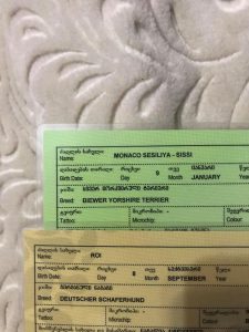 (ფოტო) “ღმერთო, რა საოცარია!” – უცნაური დამთხვევები თამარ ივერის ცხოვრებაში