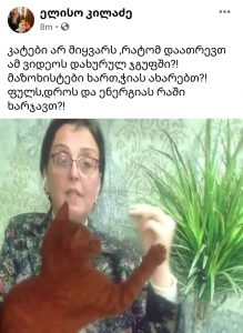 "რატომ დაათრევთ ამ ვიდეოს დახურულ ჯგუფში?! მაზოხისტები ხართ?!' - რა პოსტს აქვეყნებს კილაძე