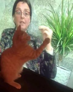 "რატომ დაათრევთ ამ ვიდეოს დახურულ ჯგუფში?! მაზოხისტები ხართ?!' - რა პოსტს აქვეყნებს კილაძე