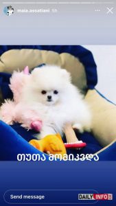 (ფოტო) "ჩემი ციცქნა აღარ მყავს, მომიკვდა" – მაია ასათიანი ემოციურ პოსტს აქვეყნებს