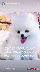 (ფოტო) "ჩემი ციცქნა აღარ მყავს, მომიკვდა" – მაია ასათიანი ემოციურ პოსტს აქვეყნებს