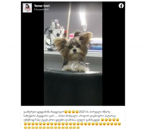 “მკვდარი ვარ… როგორ ვიცხოვრო პატარავ უშენოდ?” – თამარ ევირის ემოციური მიმართვა