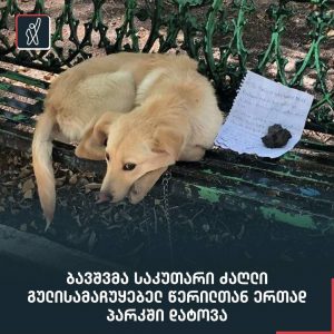 ბავშვმა საკუთარი ძაღლი გულისამაჩუყებელ წერილთან ერთად პარკში დატოვა