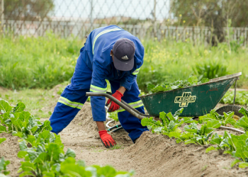 გერმანიაში დასაქმების მსურველებმა რამდენიმე მოთხოვნა უნდა დააკმაყოფილონ – სამინისტროს ინფორმაცია