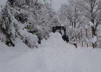 არაოფიციალური ინფორმაციით, გომისმთაზე თოვლში ჩარჩენილი ბიჭები იპოვეს