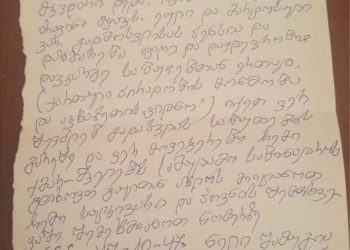 “ეული და მარტოსული ვარ,” – აფხაზეთიდან დევნილი ნელი შამუგია დახმარებას ითხოვს