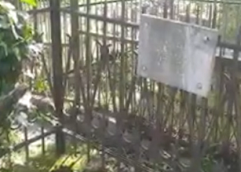 (VIDEO)  ამოთხრილი საფლავები ნამოხვანის ხეობაში