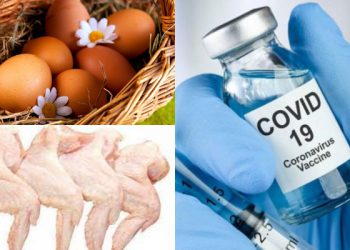 „უფასო ქათმის ფრთები, უფასო კვერცხები…” –ვაქცინაციის წახალისების მექანიზმები ჩინეთში