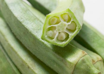 ბამიას ნაყენი: დიაბეტის და კიბოს მკურნალი, ბუნებრივი საშუალება