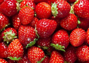 როგორ უნდა აარჩიოთ სწორად მარწყვი, რომ ის მომწამვლელი არ აღმოჩნდეს