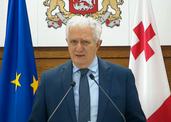 “თქვენმა ხელმძღვანელმა მითხრას: „ძალიან მინდა ამირან გამყრელიძე გადადგეს“