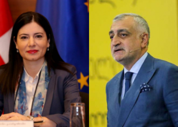 “საზოგადოებამ ეს უნდა იცოდეს!” – ნინო გიორგობიანი