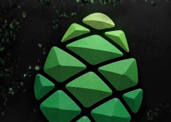 “გირჩის” სამეფოს” ახალი თავკაცი ჰყავს