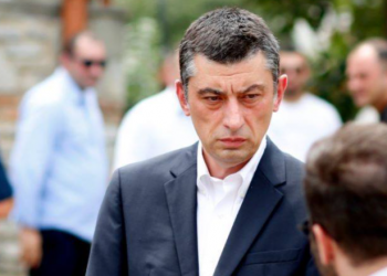 ოპერატორ ლექსო ლაშქარავას გარდაცვალების საქმე – გიორგი გახარიას კომენტარი