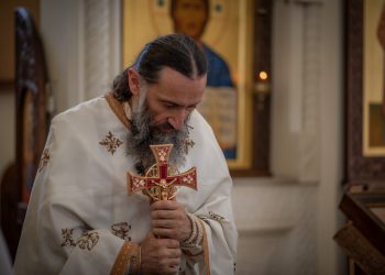 “დრო დასაკარგი არ გვაქვს…” – დეკანოზი თეოდორე გიგნაძე