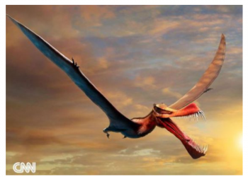 პტეროზავრი – მფრინავი დრაკონი, რომელიც ავსტრალიაში ბინადრობდა