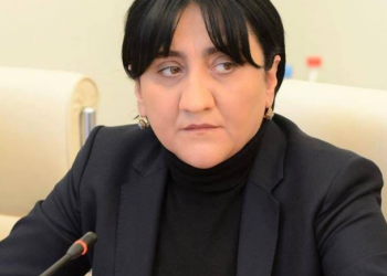 “ყველანაირ ტყუილს საზღვარი აქვს! გაოცებული ვარ…” – ირმა ინაშვილის მიმართვა