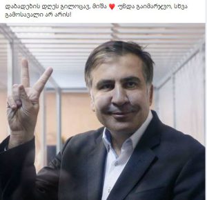 "...სხვა გამოსავალი არ არის!" - ეკა კვესიტაძე მიხეილ სააკაშვილს