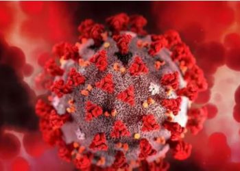 “არსებობს არც თუ უსაფუძვლო მოსაზრება, რომ “ომიკრონის” შტამი პანდემიის დასასრულის დასწყისია…” – რას წერს ანალიტიკოსი სოციალურ ქსელში