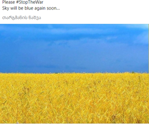 „გთხოვთ, შეწყვიტეთ ომი" - ხატია ბუნიათიშვილის მიმართვა