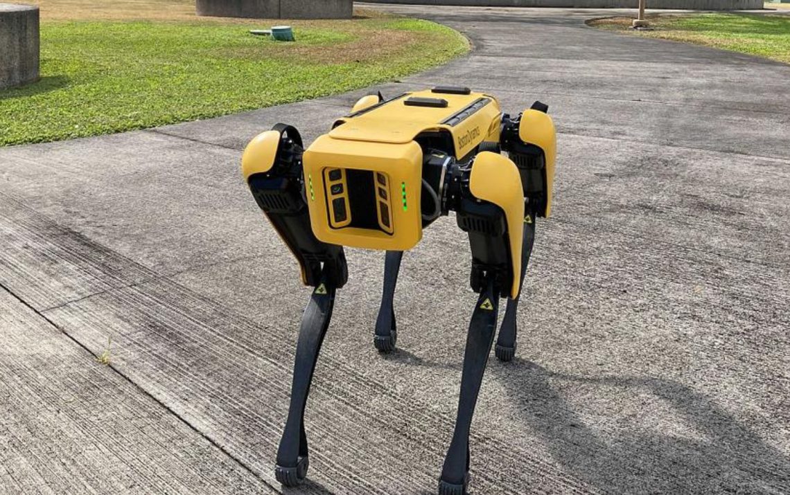 ამერიკა უკრაინას რობოტ ძაღლს გადასცემს