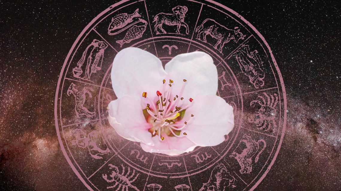 დღის ჰოროსკოპი – 13 ივნისის ასტროლოგიური პროგნოზი