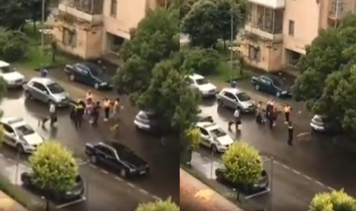 ๐ฅแแแแแ: แแฃแแแแแจแ แซแแฆแแแ แแแแแแแแ แแแแแแฏแ