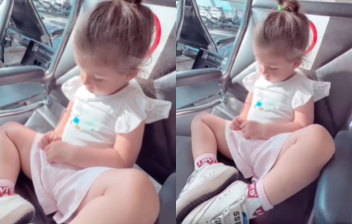 ელის მარია სააკაშვილი სოფო ნიჟარაძეს გაებუტა