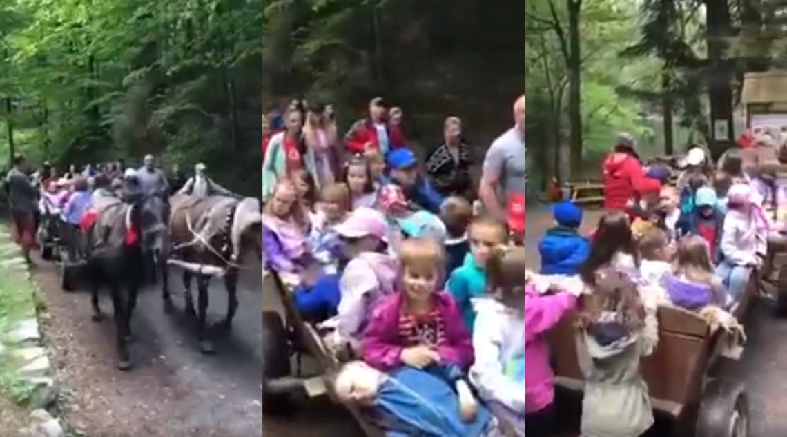 🎥VIDEO: უკრაინელი ბავშვები სამშვიდობოს ცხენების “სამაკატკით” გადაჰყავთ – ემოციური ვიდეო უკრაინიდან