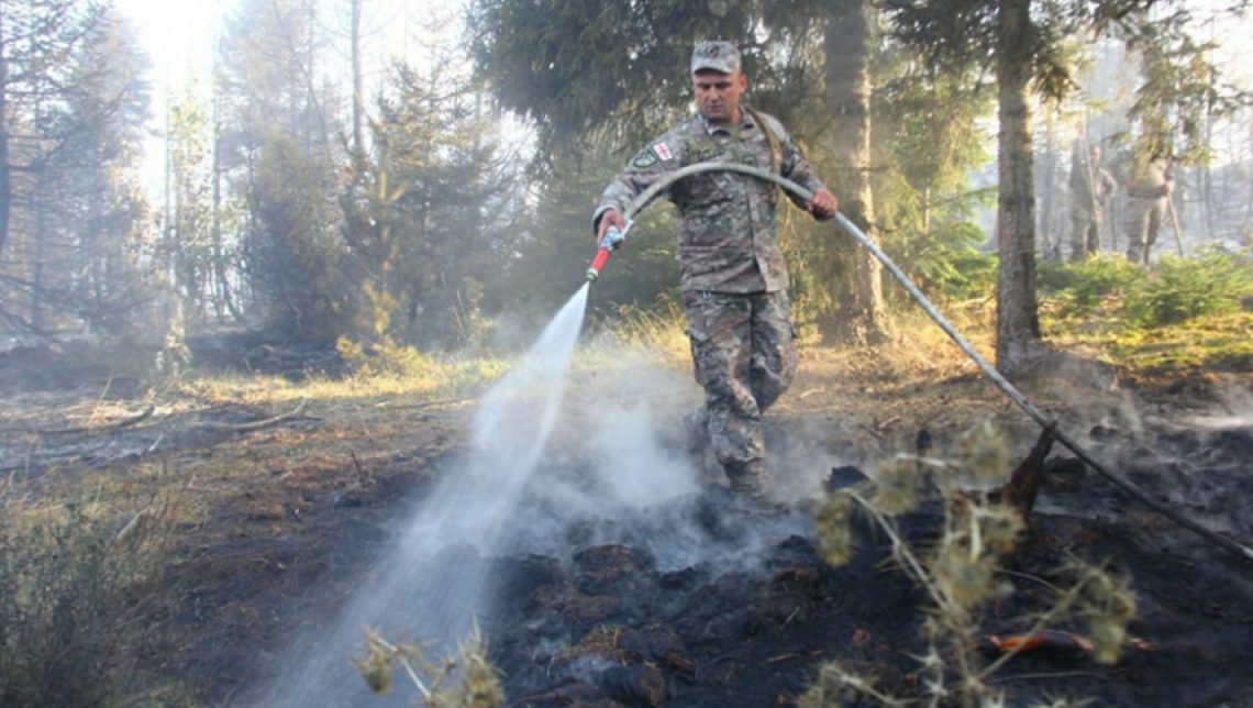 რა გახდა ბორჯომის ტყეში ხანძრის გაჩენის მიზეზი? – სოციალურ ქსელში გავრცელებული მოსაზრებები