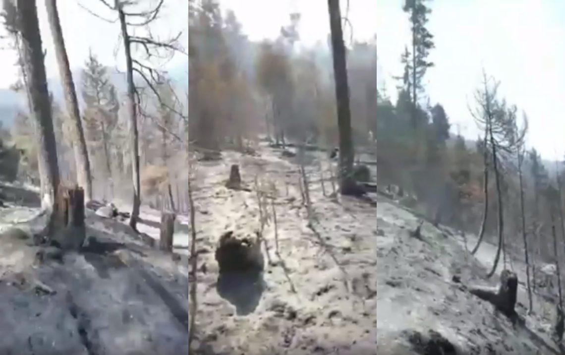 ๐ฅVIDEO: แแก แ แแช แฃแแแ แแแแฌแแ – แแแแ แแแ แแแ แฏแแแแก แขแงแแแแ