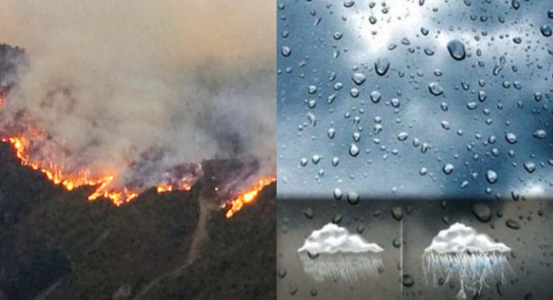 მოსალოდნელია თუ არა წვიმა ბორჯომში – სინოპტიკოსების პროგნოზი