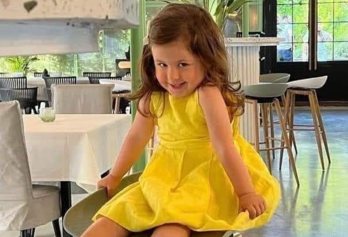 სოფო ნიჟარაძე ელის-მარია სააკაშვილის ახალ ფოტოს ავრცელებს