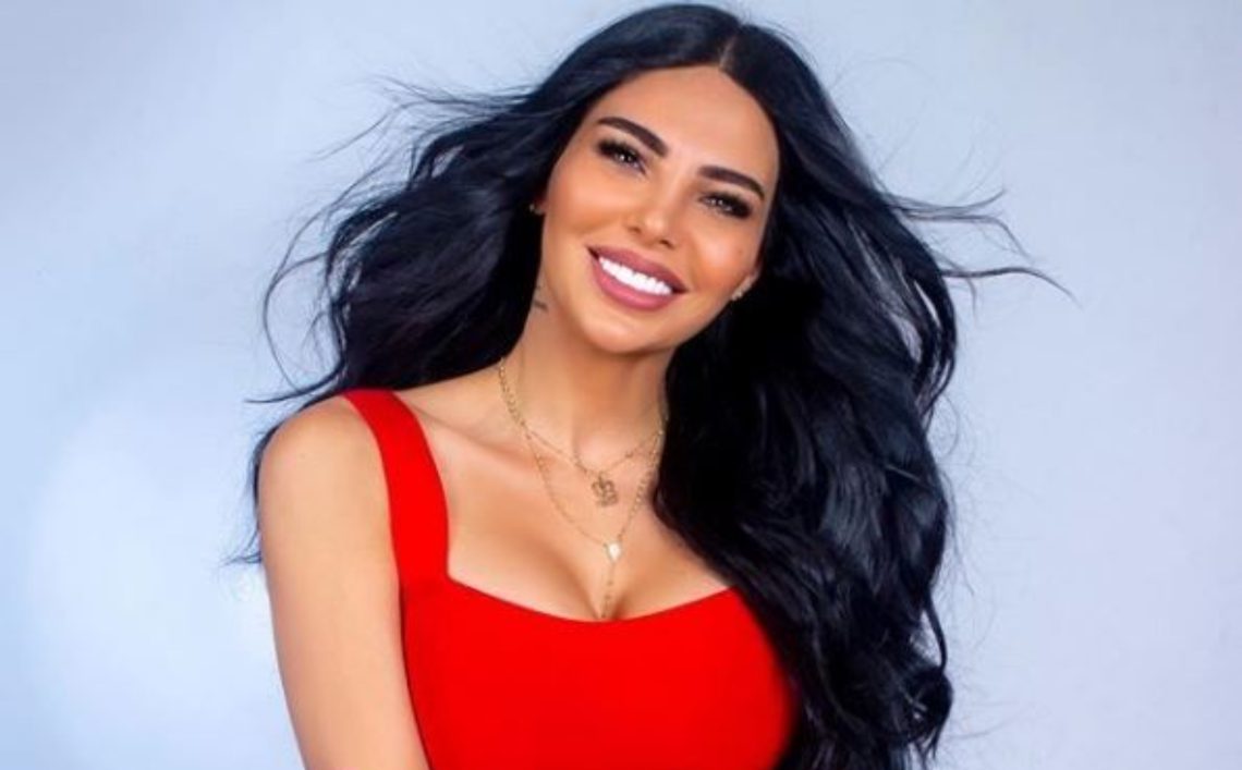 „თუ ჩემი შვილის ტოლა გოგოების ლანძღვა დავიწყე, გთხოვთ…“ – რას წერს შორენა ბეგაშვილი