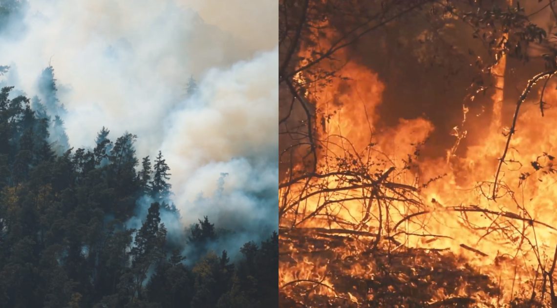 ๐ฅVIDEO: โแแ แกแแชแแชแฎแแแ แแแแ แแกแแ, แ แแ แแแแแฎแแ แ แแแแแแ” – แแแแ แแแ แแแแแแฌแแแ แ แแแ แฏแแแแก แขแงแแแแ