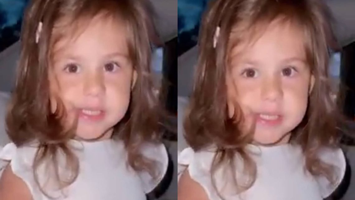 VIDEO:  “მიშა,მიშა…” – ელის მარია სააკაშვილის ახალი ვიდეო