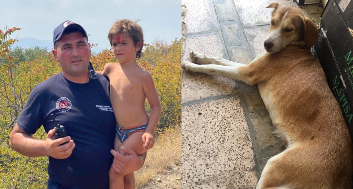 მცხეთაში დაკარგული 4 წლის ბავშვი ძაღლმა “ლექსამ” არ მიატოვა – ემოციური ისტორია მცხეთიდან