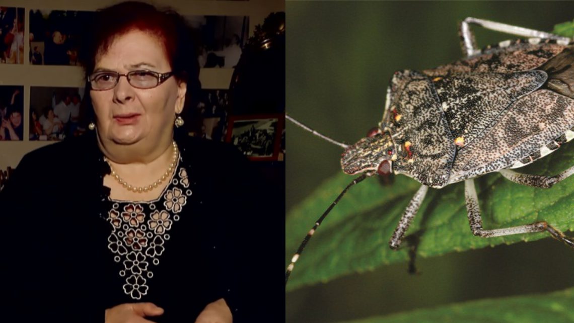 “ხალხნო! წყნეთში ვარ, დღეში 10 ფაროსანას მაინც ვკლავთ. რა ვქნა არ ვიცი, სად განვაცხადო” – ქეთევან კიკნაძეს დახმარება ესაჭიროება