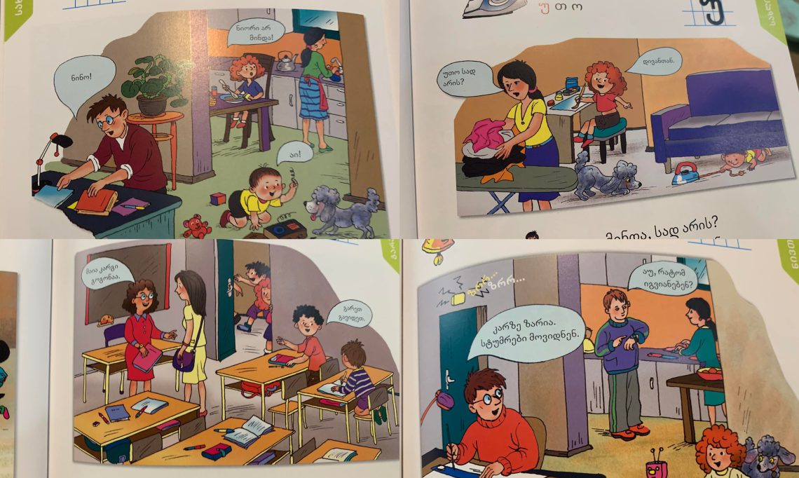 “ვაიმე ხალხო, პირველ კლასელის წიგნებს ჩავხედე და გული გამისკდა” – მამუკაშვილი