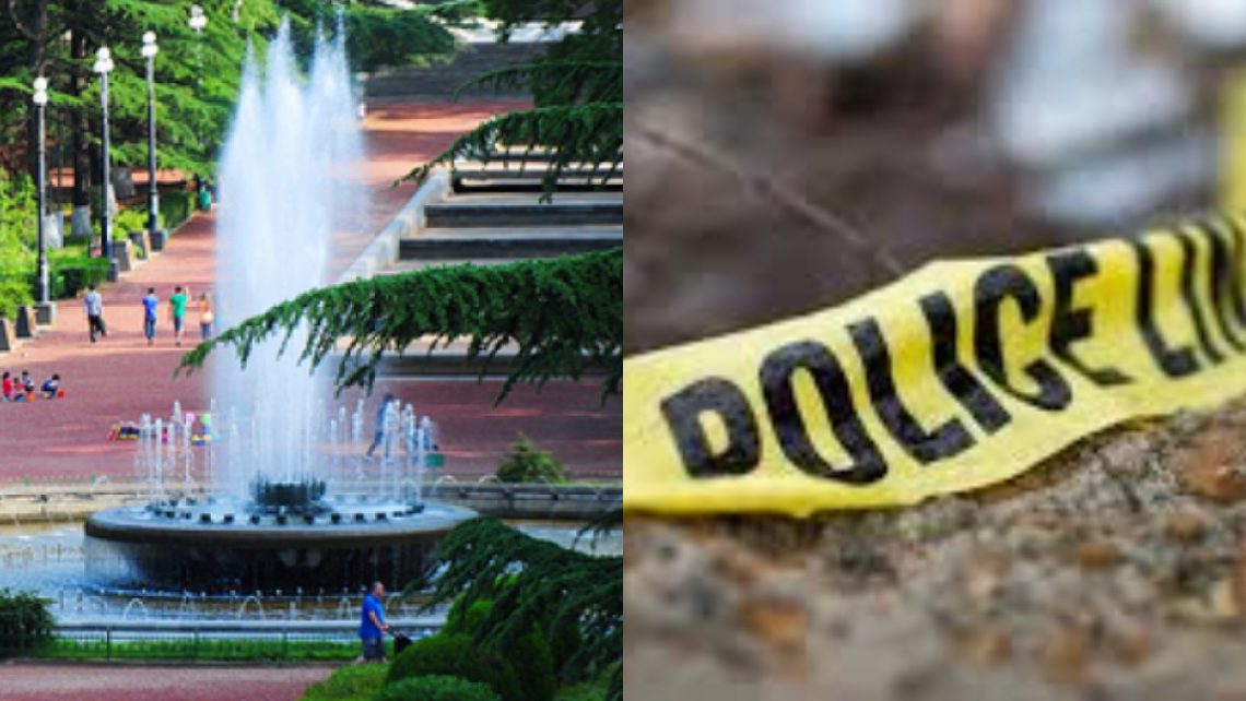 ცნობილია კომპანია, რომელიც ვაკის პარკში სამუშაოებს ატარებდა